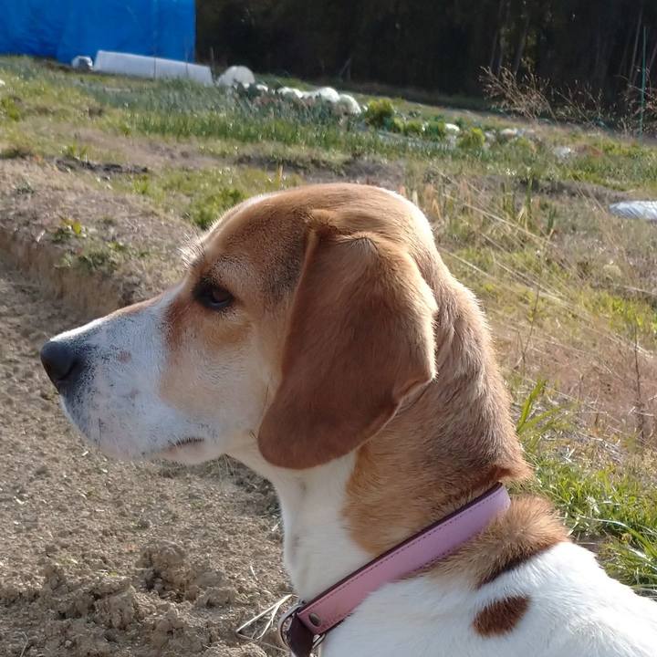 9c32a7fe 65f8 4016 9b00 61f336b757fe 1582184285603