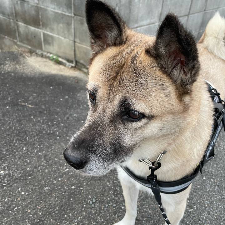 9c32ab8c d185 4a80 8885 492880ec0734 1730810783049