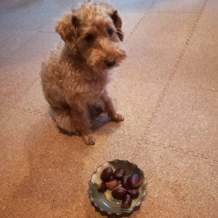 9c32cbda bf59 4cd9 9961 452a69bd6a03 1570485127293