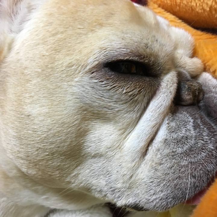 9c32e728 f305 45cf 9bfb 4ed78af2ce38 1529153947794