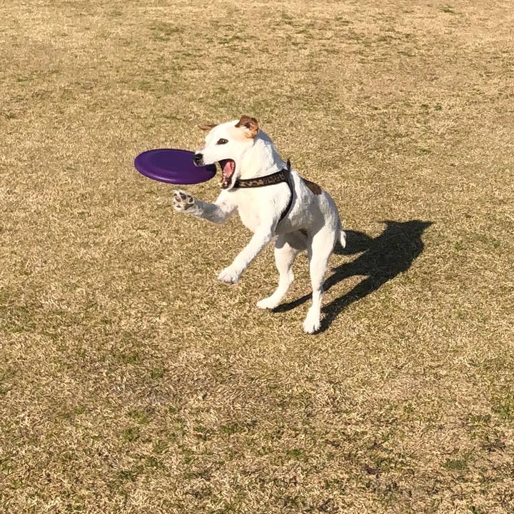 9c32ff09 96fa 42dc 924b fa4ac696d643 1520755446862