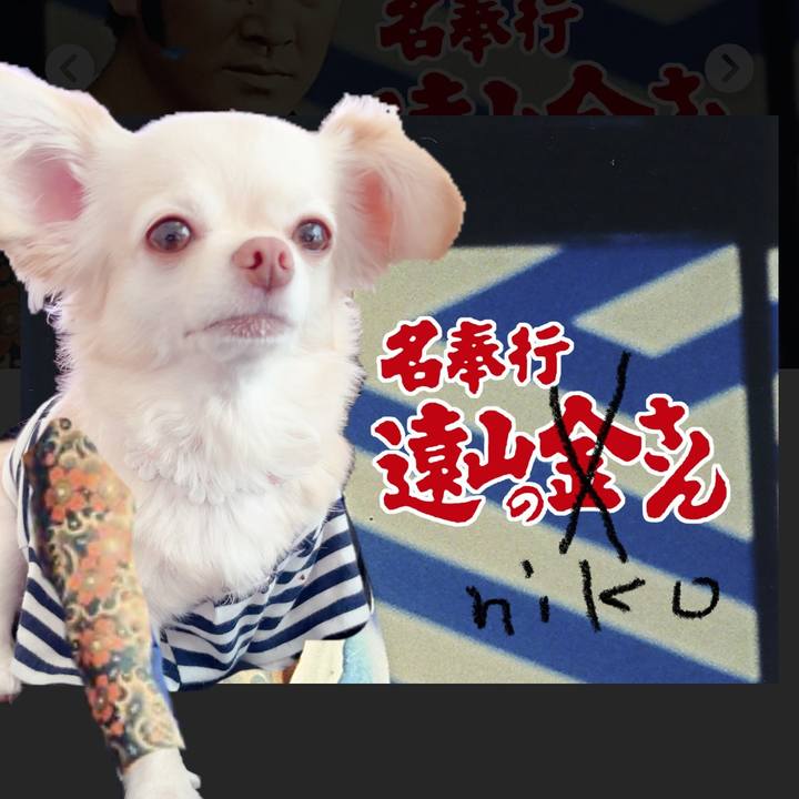 9c3324f7 dcc2 4cdb 9cd8 713ae1d81e0d 1695889065206