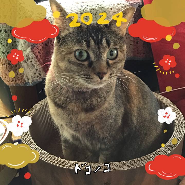 9c336c02 0525 4f1e adff 5eb35fc84a5b 1704068148909