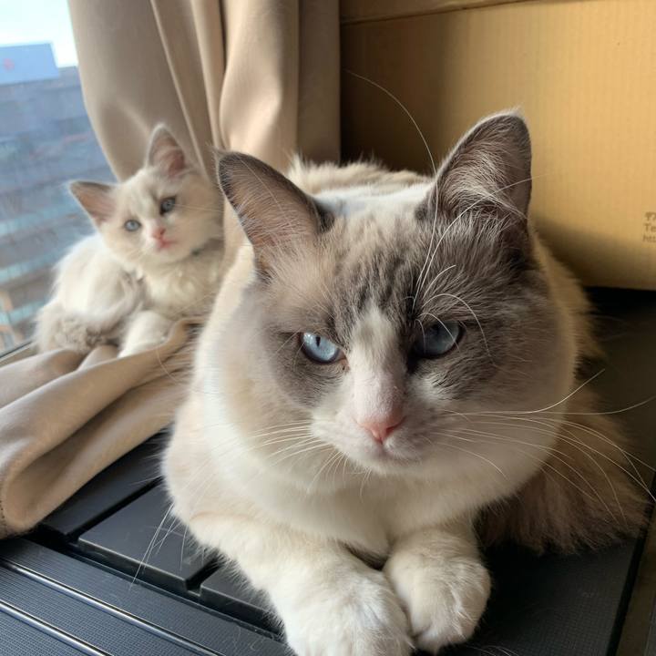 9c3388a1 5e0e 4cd3 bf91 1e89ccb09ca6 1644228254178