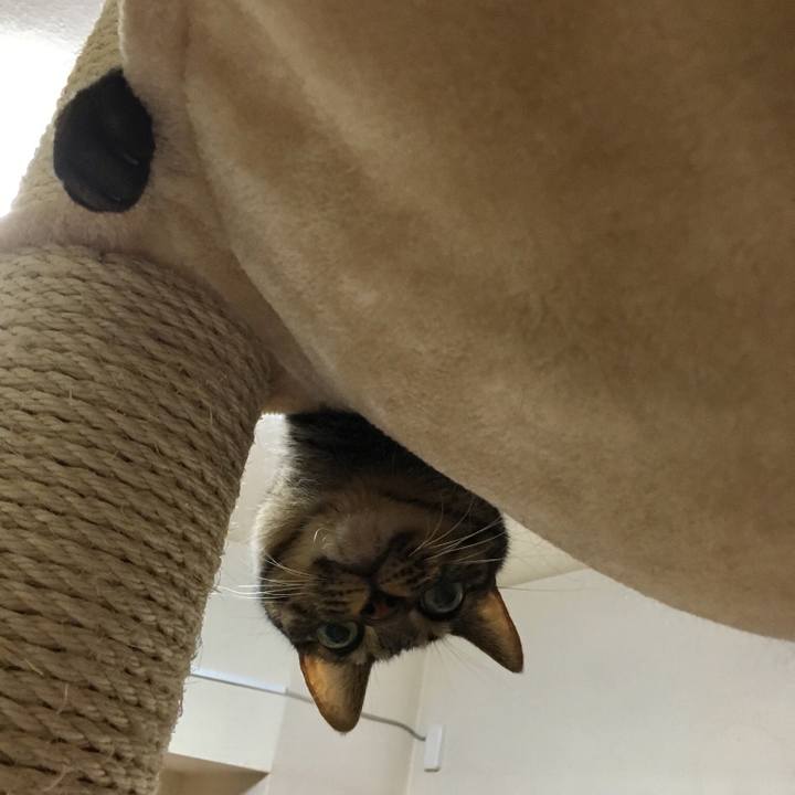 9c339d7a 0b13 4911 96b8 8ee7c6668b16 1517274018157