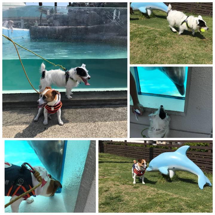 9c33a53a 9f96 48a8 a377 513401e08a53 1526725011539