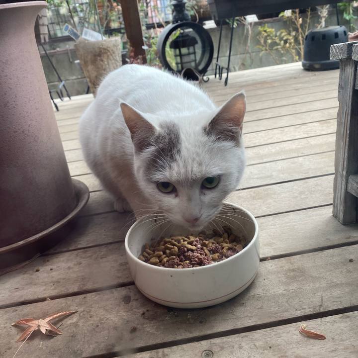 9c33e4bd 9f4e 4e2e a5f0 300f27f26d33 1614663879067