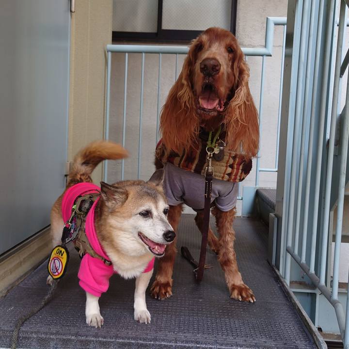 9c33e5df 3128 41bc b0fb 47924cf4b4e6 1703948772006