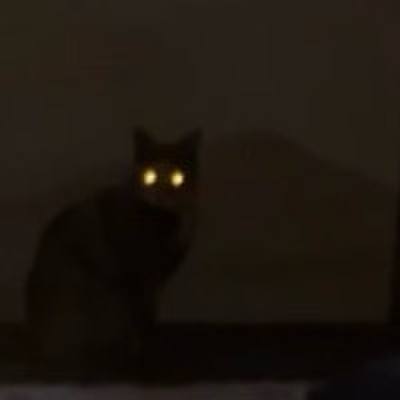 9c33f3df ace3 4391 8ef4 8d75585400c1 1741118868450