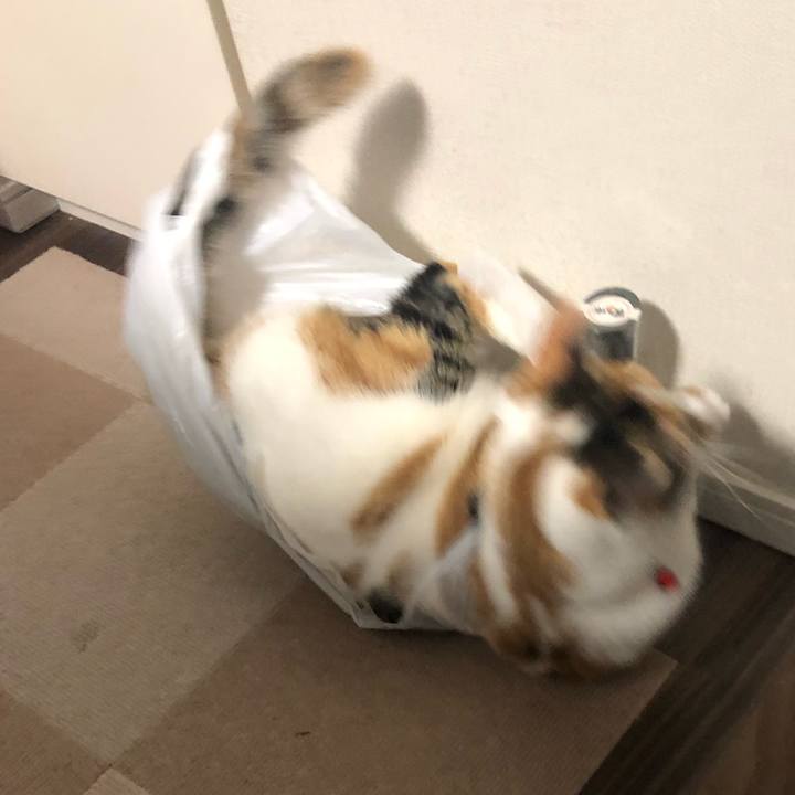 9c340607 60bc 47d7 b364 18e1d0114da4 1579324264700