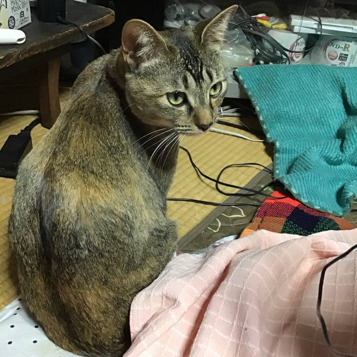 9c34281d aff2 41ba afce 0b73f23fe1de 1586088468045