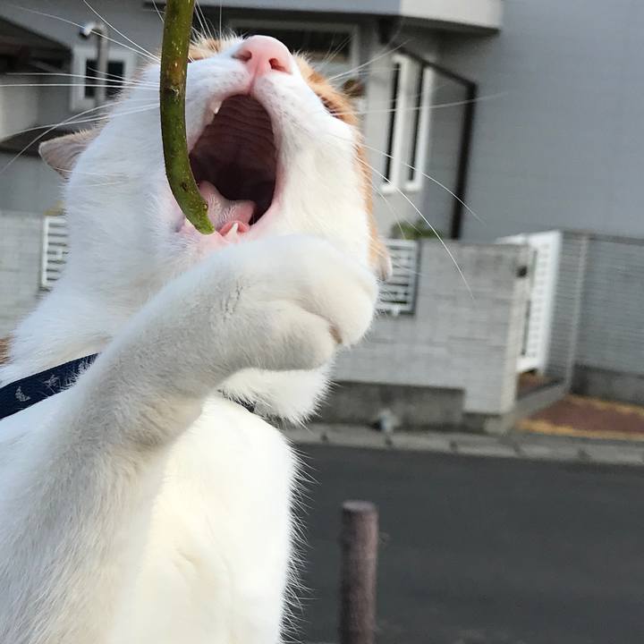 9c3438f8 5af1 4f6c 8b1e c83b9ff33c41 1525524752250