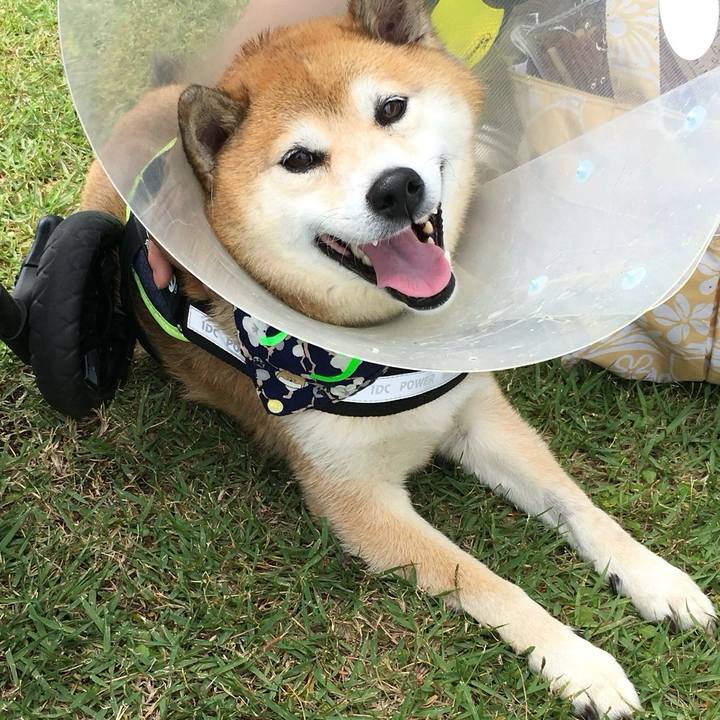 9c346c35 f0c7 414a a879 3253d4c01e13 1745595585914