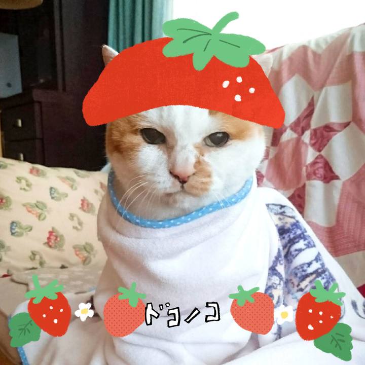 9c347318 ec4b 49b8 8ee4 e10044db9f59 1775382545826