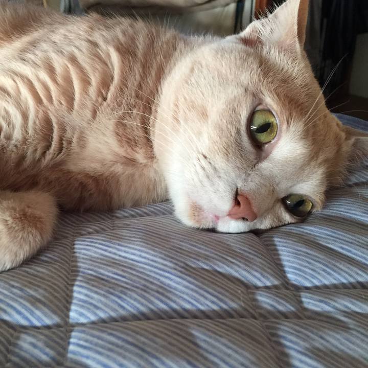 9c34c31e dab7 49ba 8830 cd7940e2d239 1597100123381