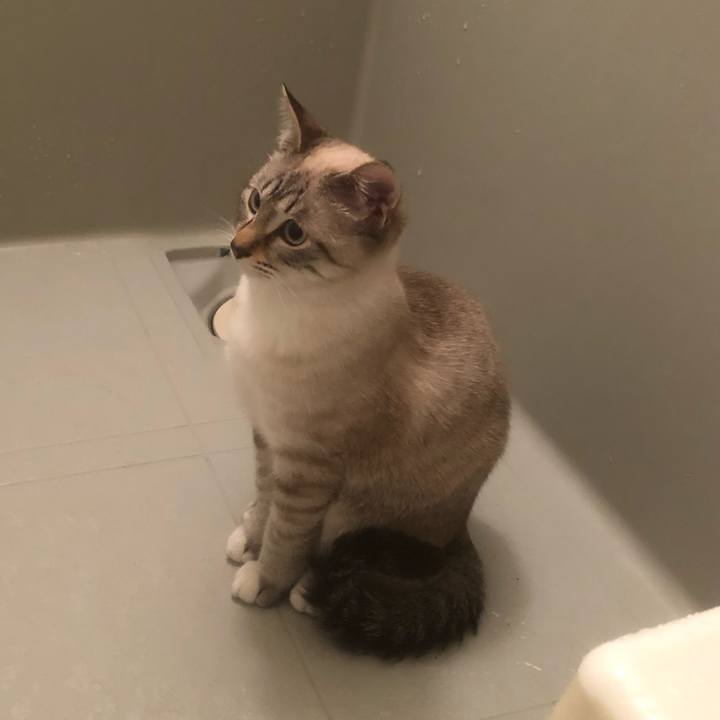 9c34d5d4 34f4 481b 9d63 a3097def5abb 1610801276179