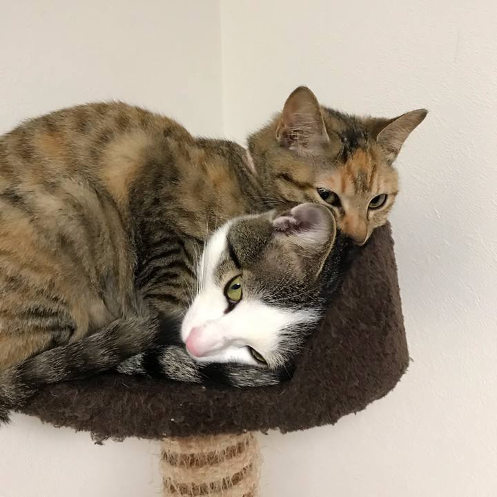 9c34d938 292a 462e b783 2025f89d5238 1550489542320