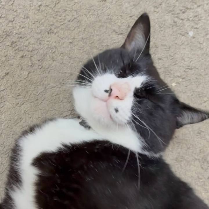 9c34fee3 f0bd 4056 90f0 452f0d5f6ce8 1751249046324