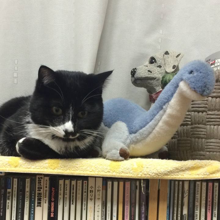 9c355e68 bf21 4790 90c8 ca702fbc8f79 1515046655372