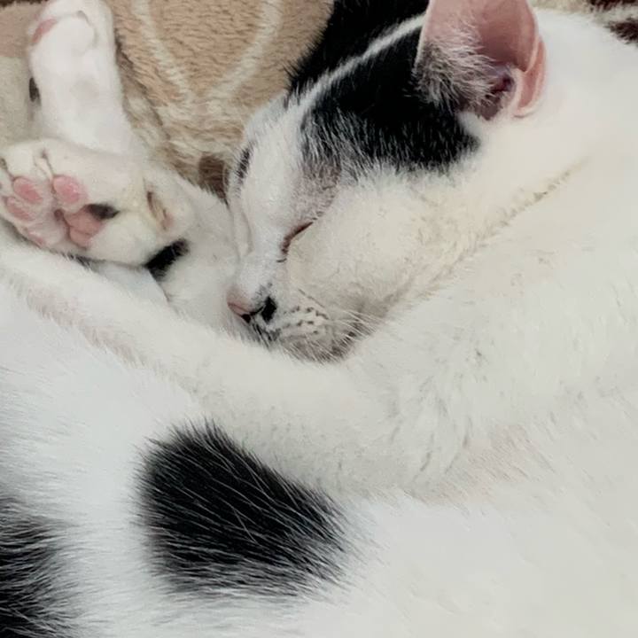 9c35fb1d d423 486a 87d0 04c17c698b50 1708209142273