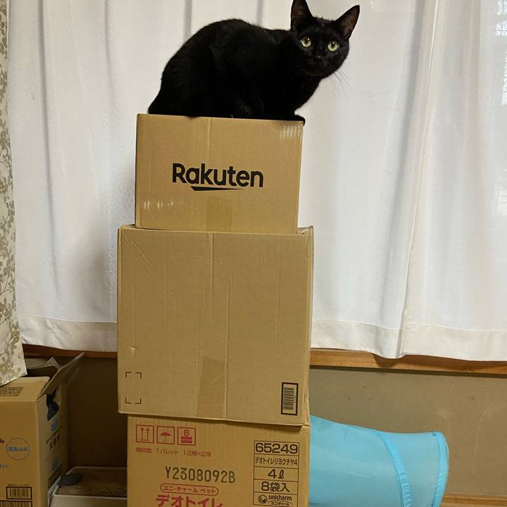 9c360a46 8dfb 4a7b a319 085f6f74f17e 1694516159740