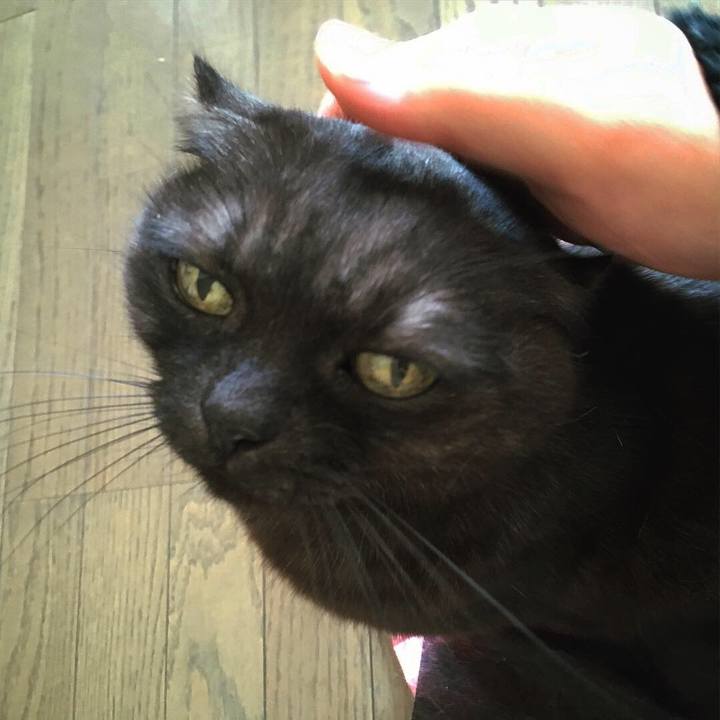 9c360ca0 11ff 492c b57e e02ba17d316e 1550936738695