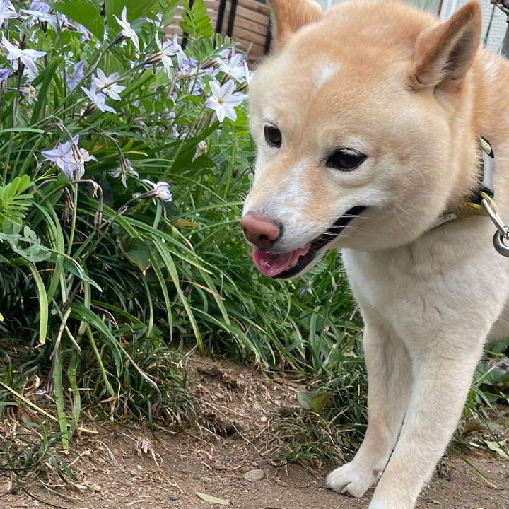 9c36335f ab60 47b6 b2f9 d6ab4b1cdf92 1680910754236