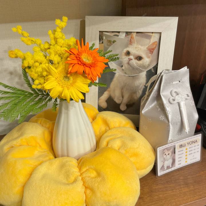 9c363d8b eff7 4104 97ee e24f708b2b89 1769683792100