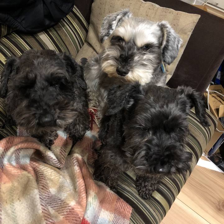 9c363e6b 070f 458a b2be d04c34e02d57 1583329551090