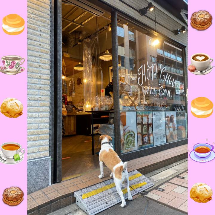 9c364c6e 8601 4ed2 98fa 97add96452a1 1605185852684