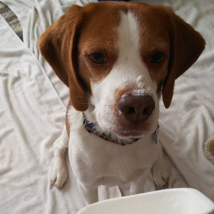 9c36bd66 3607 42b8 91af 772987ab50dc 1591061079068