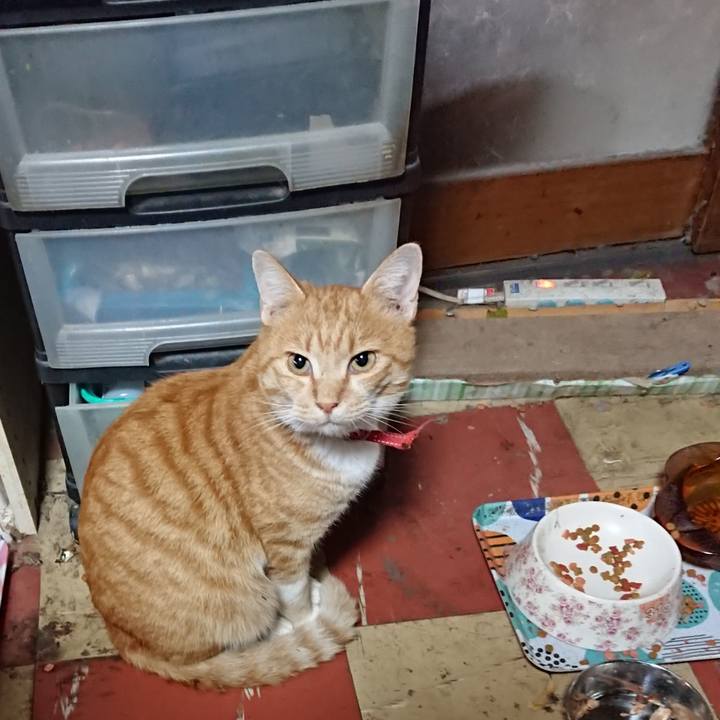 9c36c535 0614 40f8 a1ef 45418a5d53b7 1573942292566