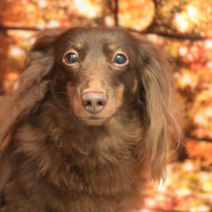 9c36c5ed cb72 4ff0 925a eb2fb1dcd6e8 1765401574019