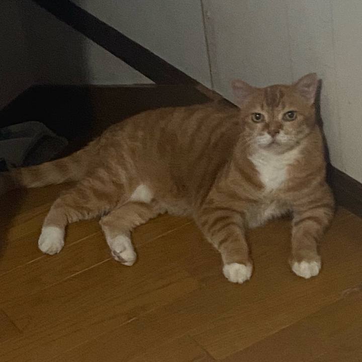 9c36e541 ed16 4241 96c5 851da4bd8cee 1723713570232