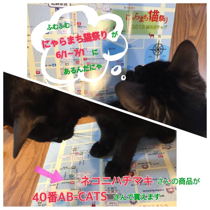 9c36f91f a9da 42e2 ab37 62e2712dbec6 1527699679710