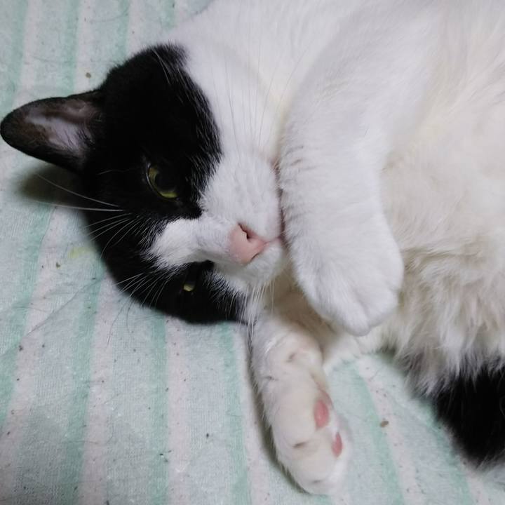 9c372beb 690e 461a bc19 c3949a35ef10 1539424798340