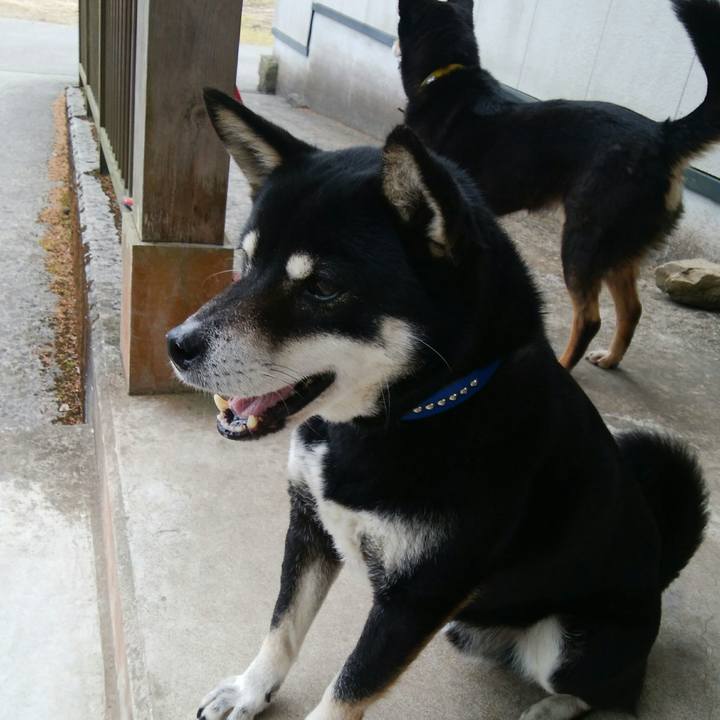 9c376942 e445 4f5a 8ca0 989796fd5a98 1523410738070