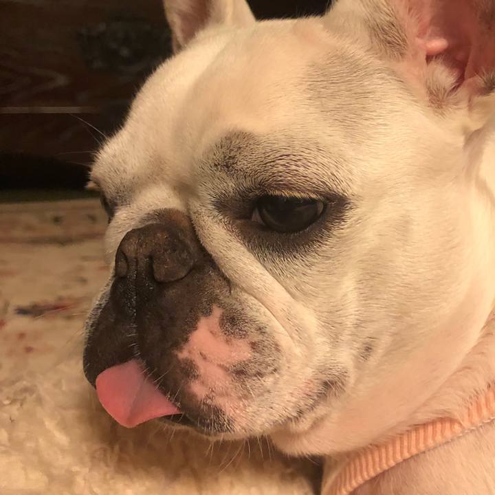 9c378f96 3eae 4f9d 90a9 e0626d0d59fc 1540304411701