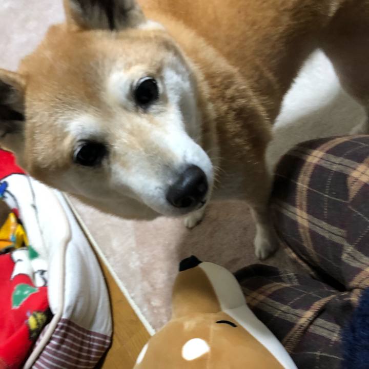 9c37caf6 dbc9 4f6a bf29 1bb87cab0b58 1581939605897