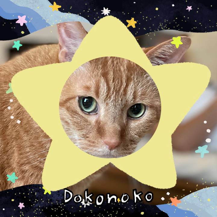 9c37cd6f 910a 404a 922e 2b4356dd79a9 1720995733460