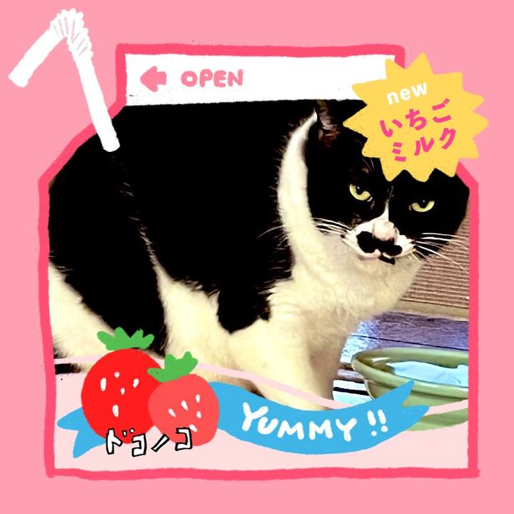 9c383d3a ea8f 44ef 8ecc dbdc3176e135 1711020764417