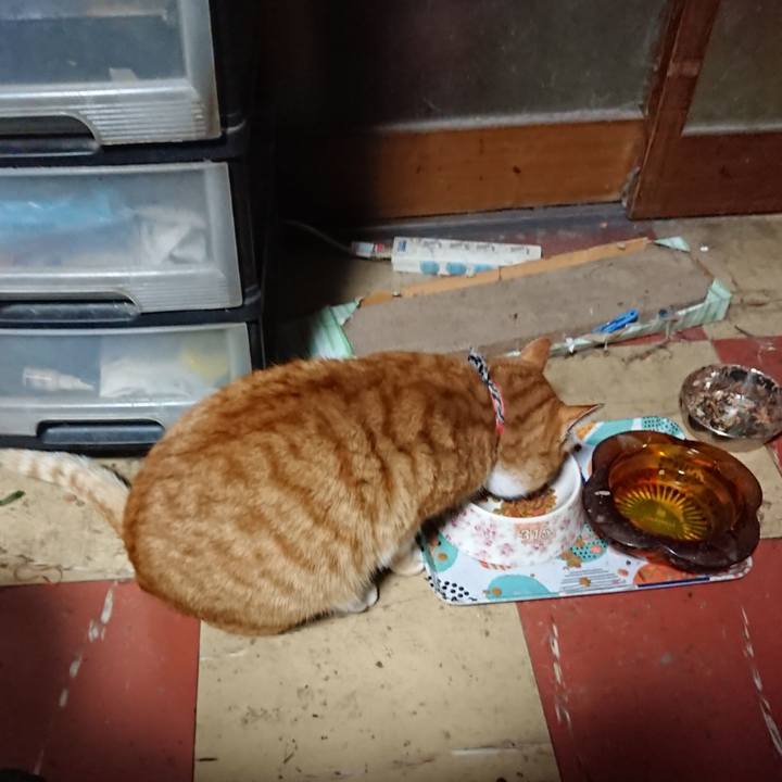 9c383fde e78f 485b b10c f8377916a9eb 1575923522814