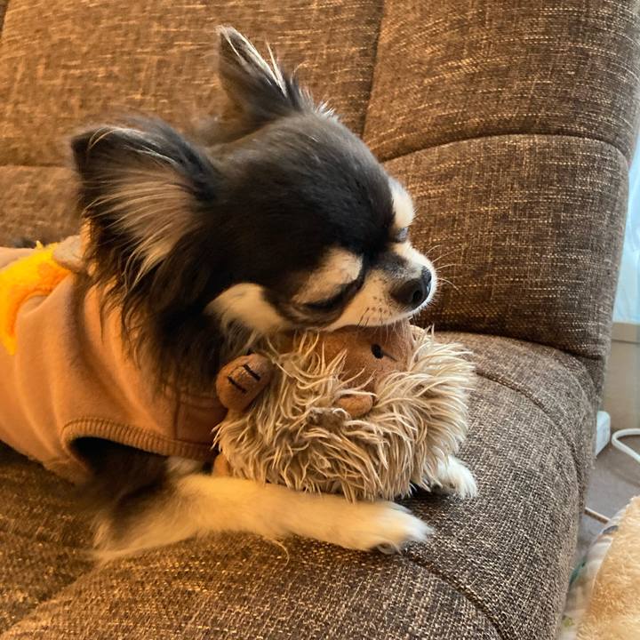 9c384807 7353 4e83 bde1 6544e576bfc0 1708762539473