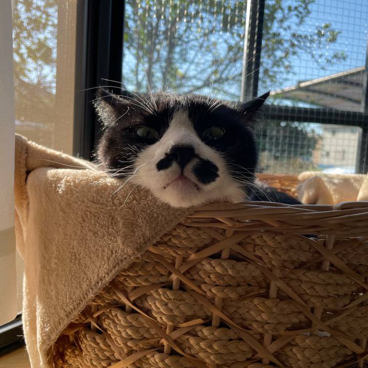 9c38547e c881 4b26 baf1 0e08850a49d3 1664318033546