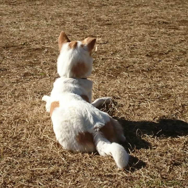 9c38766c 02f8 44b8 9741 785523626219 1516938735393