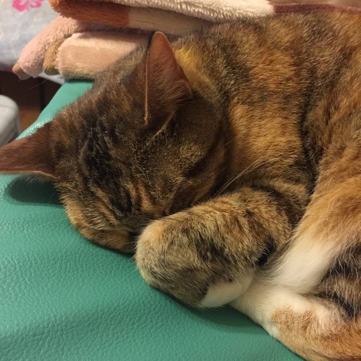 9c388938 9140 4bd4 b5a2 f3eaa5b90a4f 1558624935190