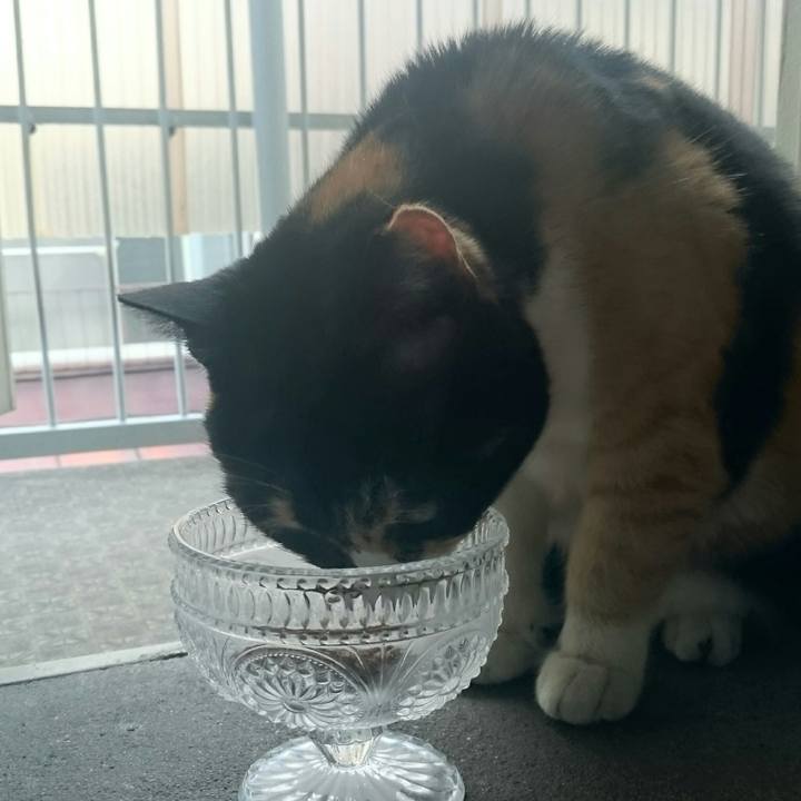 9c3894b6 f79d 49db ac28 8dca558736ab 1518229722187