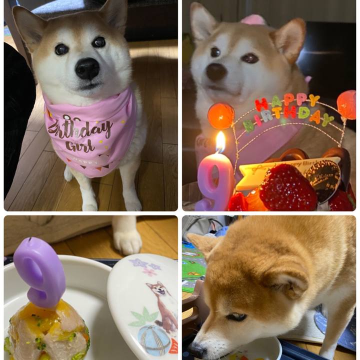 9c38a41e ab3d 4878 a3ba 9501a98d19d7 1642599491202