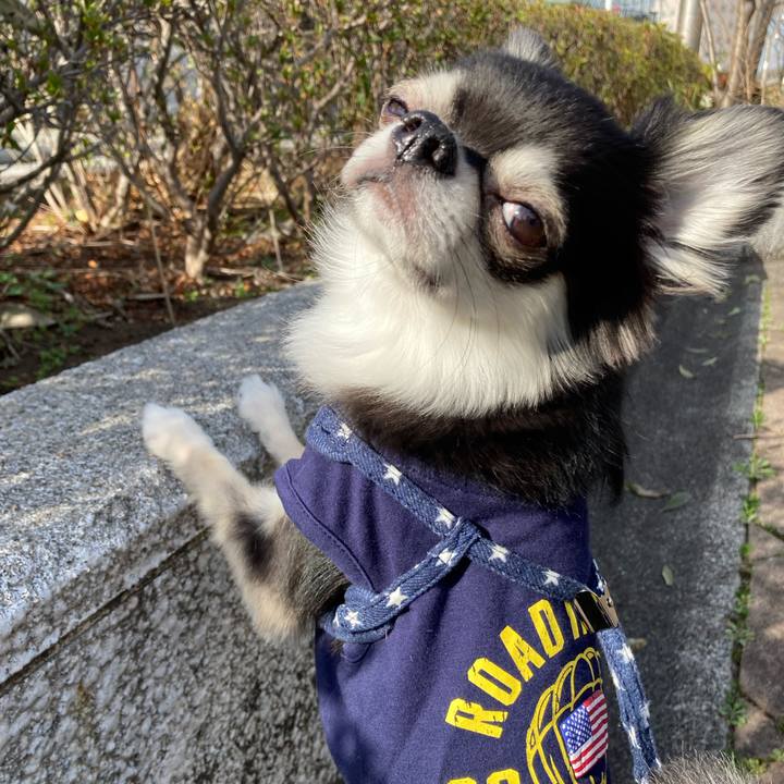 9c38a61f ca39 4651 917e 93d641408630 1646489568357