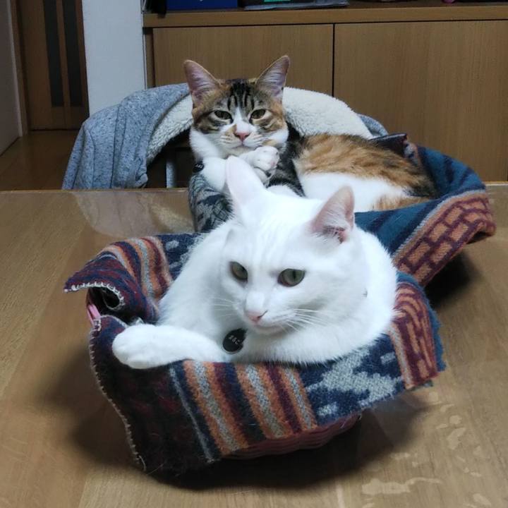 9c38af65 0304 4fbf 881e 4bfe6aac929e 1639694367792